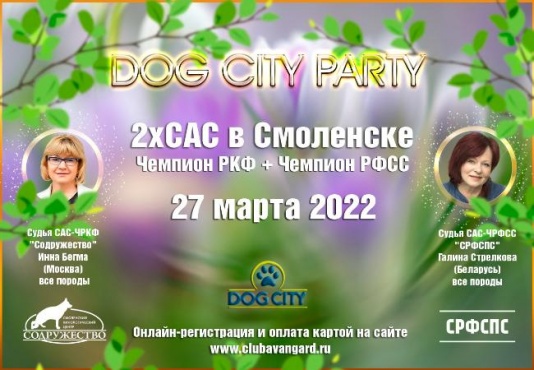 27 МАРТА 2022 - 2хСАС в Смоленске