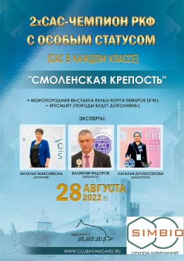 28 августа 2022 - 2хСАС в Смоленске