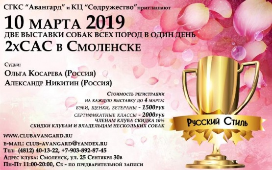 10 марта 2019 - 2хСАС в Смоленске